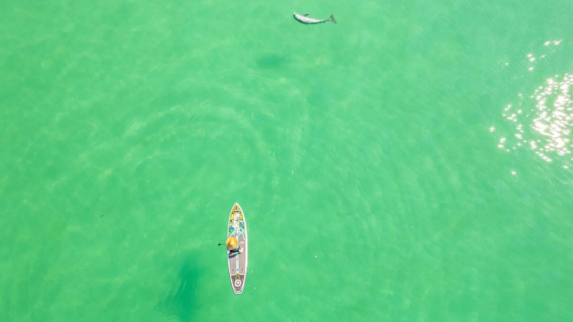 Sandpiper Cove 1119- By Holiday Isle Properties Destin United States