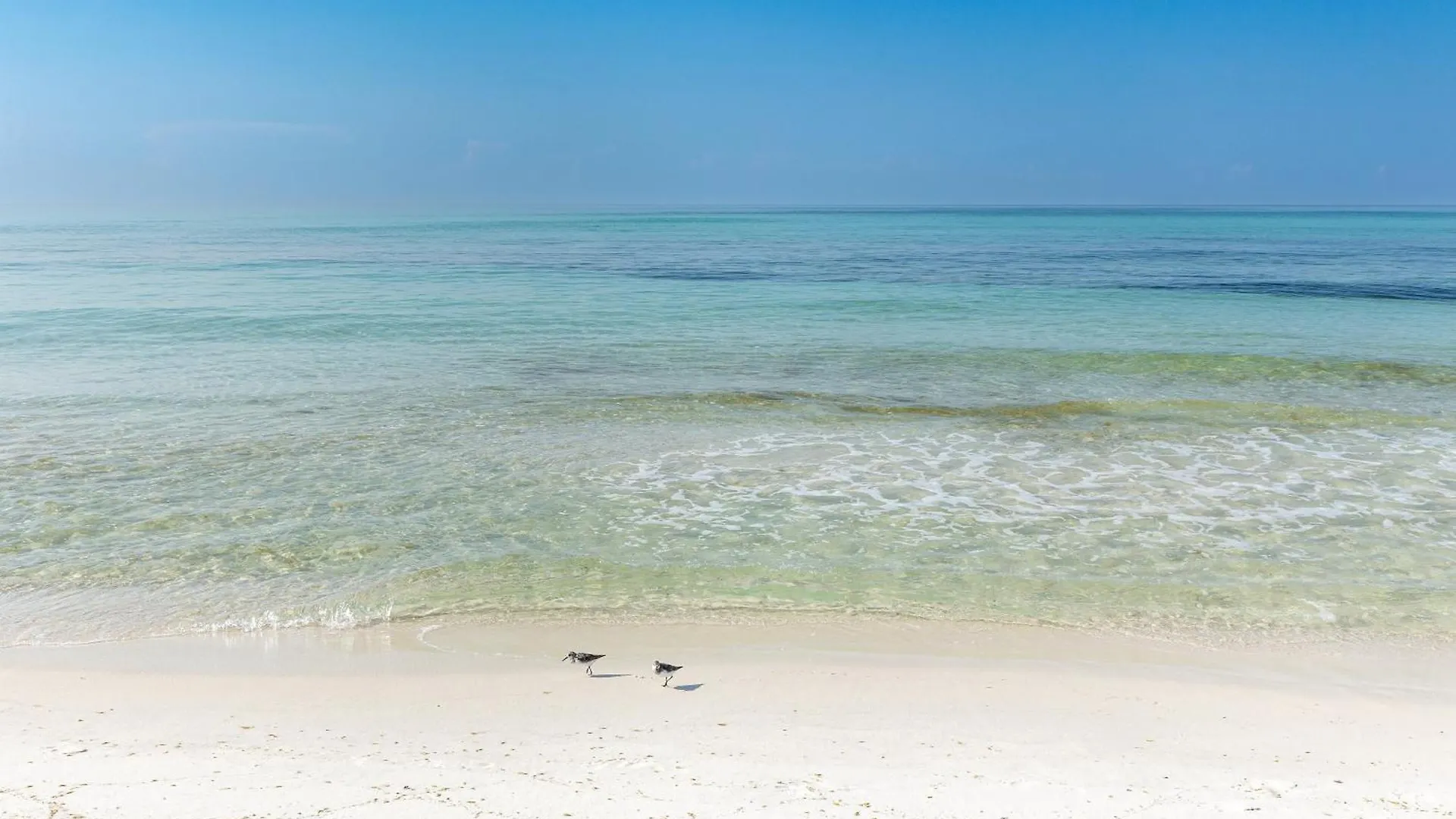 Sandpiper Cove 1119- By Holiday Isle Properties Destin Apartment